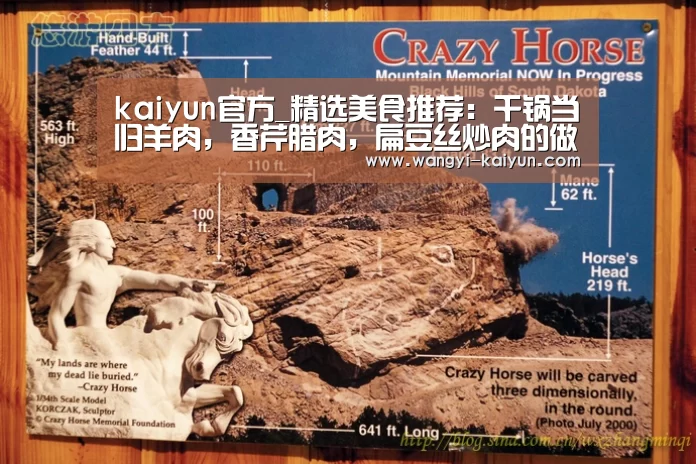 kaiyun官方网站